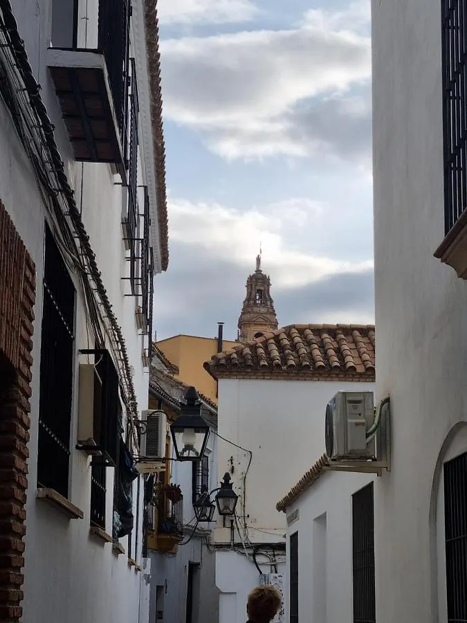 Apartamento En El Patio De La Juderia Córdoba 0*,